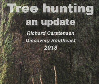 Tree hunting manual | JuneauNature